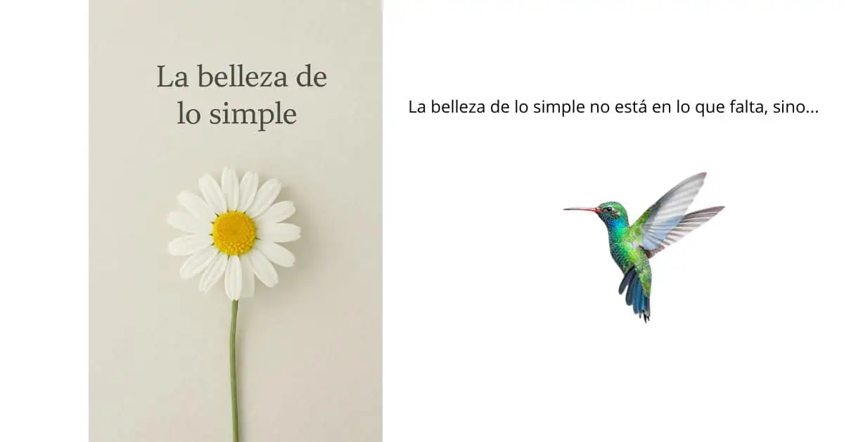 La belleza de lo simple la belleza de lo simple